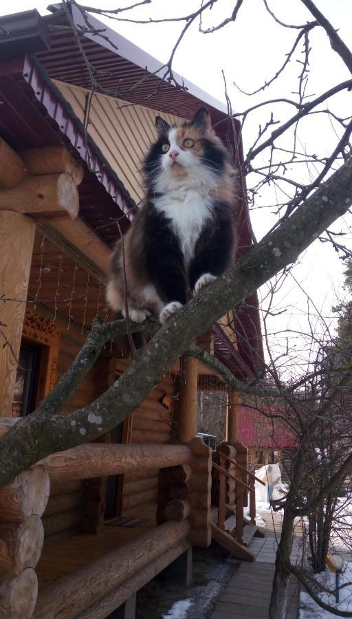 ホテルAgrousad'Ba Okolitsa Shchibri エクステリア 写真